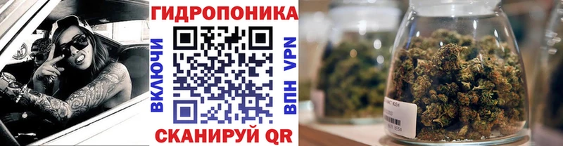 как найти закладки  Орлов  Бошки марихуана White Widow 